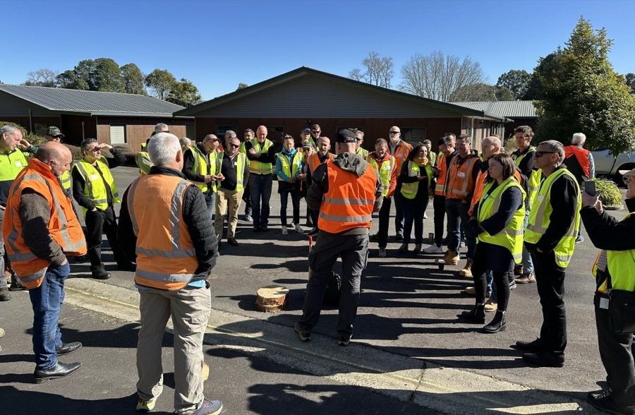 New Zealand forest - automated log identification deployment with Deeplai and Forest Growers Research