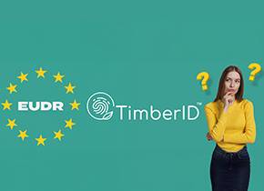 How will TimberID help you make the best use of introduced „simplification“ under EUDR?
