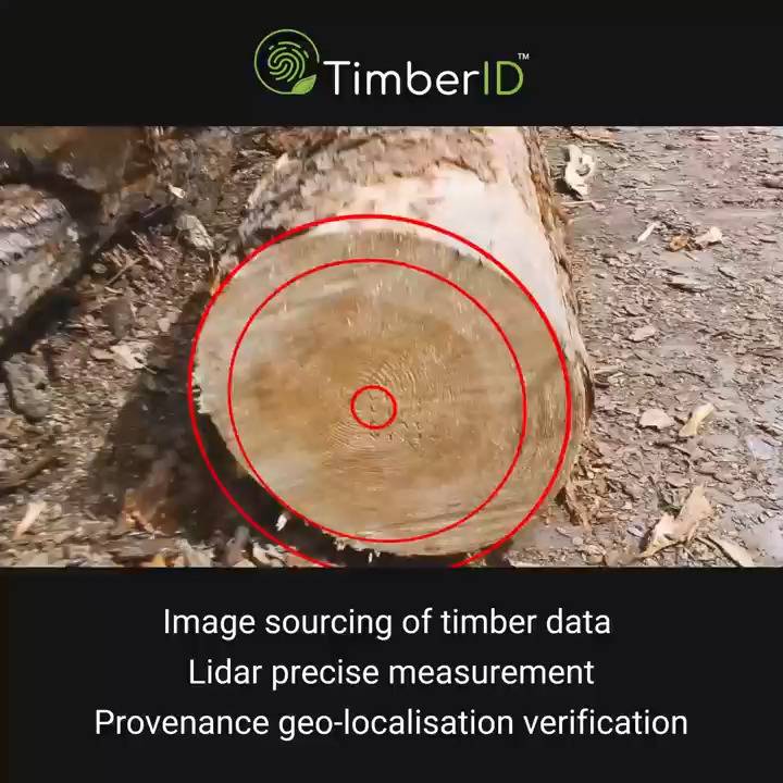 TimberID - complete timber identification system
