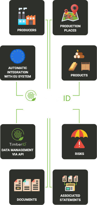 DDS diagram mobile