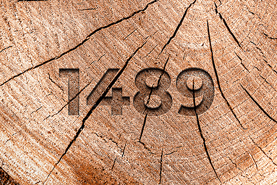 The Evolution Of Timber Log Marking