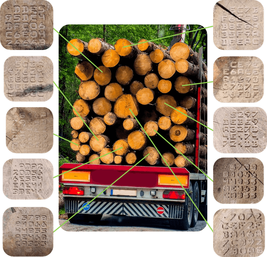 alphanumeric marking of logs on the trailer